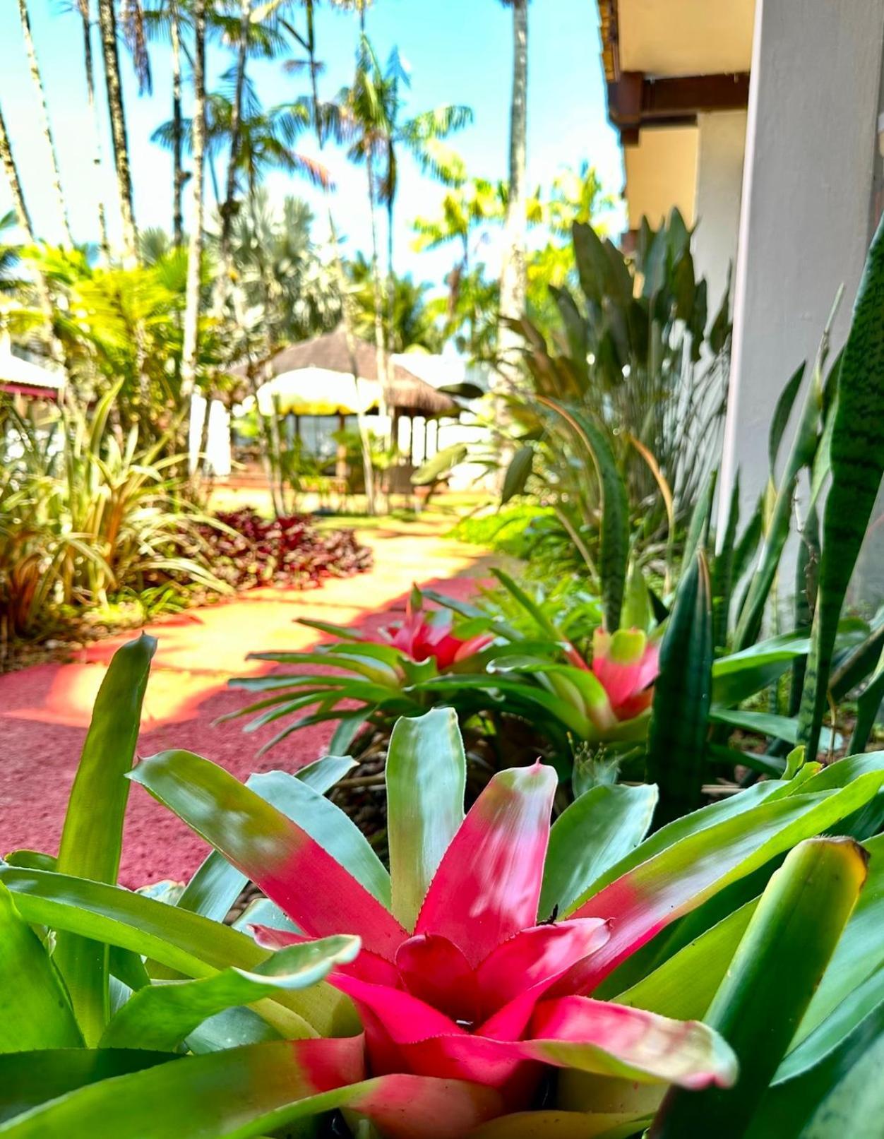 Hotel Casa Paradiso Гуаружа Экстерьер фото